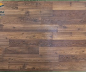 Sàn gỗ Robina 8mm 