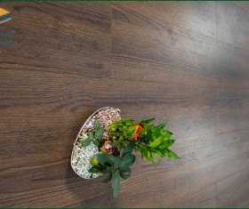 Sàn gỗ Robina 12mm bản lớn 