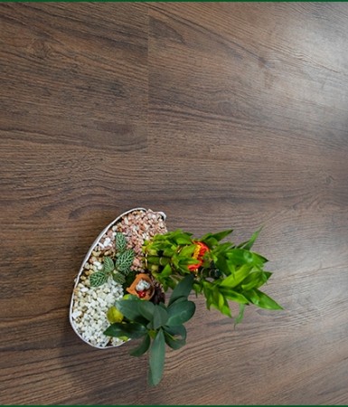 Sàn gỗ Robina 12mm bản lớn 